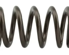 Industrial Injection 110 LBS Single Valve Spring Set
