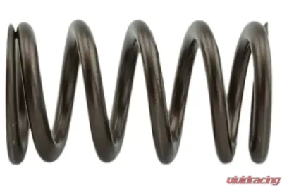 Industrial Injection 110 LBS Single Valve Spring Set - PDM-160-1484S-24