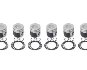 Industrial Injection Mahle Piston Standard Size w/ Rings / Wristpins / Clips Dodge 24V 1998.5-2002