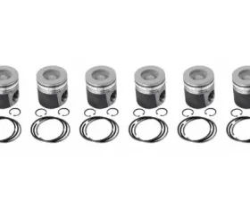 Industrial Injection Cummins STD w/Rings OEM Dodge 24V 2003-2004