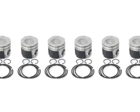 Industrial Injection STD w/Rings / Wrist Pins / Clips (Set) Dodge 24V 2004.5-2007