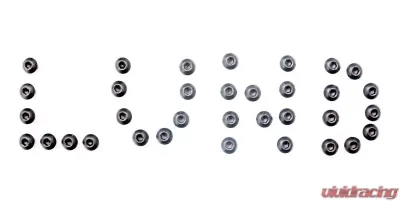 LUND Black Stainless Steel Bolts - 607805