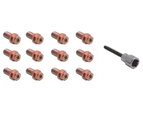 Spectre Header Bolts w/Tool - 3/4in.