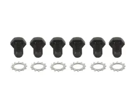 Spectre GM Flex Plate Bolts
