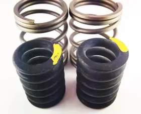Dynomite Diesel 12 Valve P-Pump Competition Governor Spring Set Dodge Cummins 5.9L 1994-1998