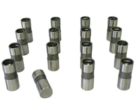 Howards Cams Hydraulic Flat Tappet Variable Duration Lifters; Chevy 265-454 91002