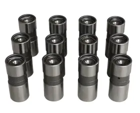 Howards Cams Hydraulic Flat Tappet Performance Lifters; Buick 181-252 91311-12