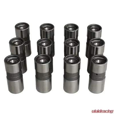 Howards Cams Hydraulic Flat Tappet Performance Lifters; Buick 181-252 91311-12 - 91311-12