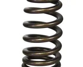 Howards Cams Beehive Ovate Beehive Valve Springs; 1.207 98112-1