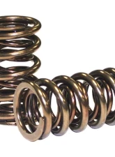 Howards Cams GM Gen III Dual Valve Springs; 1.305 98116                                     - 98116 - Image 2