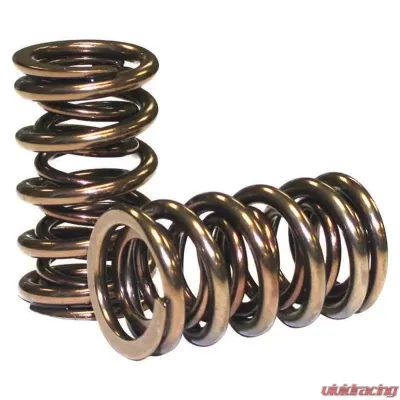 Howards Cams GM Gen III Dual Valve Springs; 1.305 98116 - 98116