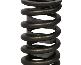 Howards Cams Performance Single with Damper Valve Springs; 1.250 98214-1