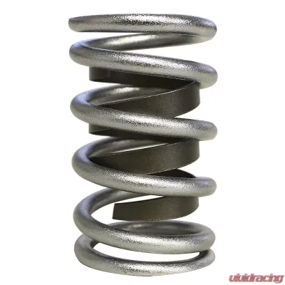 Howards Cams Electro Polished Performance Single with Damper Valve Springs; 1.437 98415-1 - 98415-1