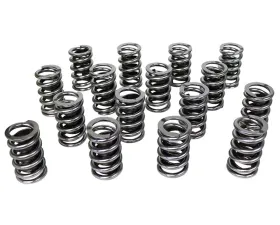 Howards Cams Electro Polished Performance Single with Damper Valve Springs; 1.437 98415