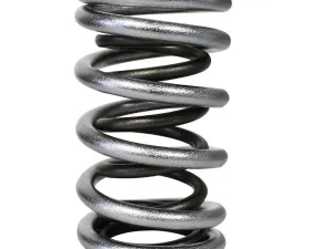 Howards Cams Electro Polished Performance Dual Valve Springs; 1.437 98447-1