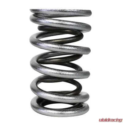 Howards Cams Electro Polished Performance Dual Valve Springs; 1.437 98447-1 - 98447-1