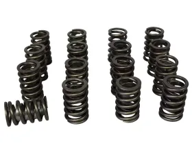 Howards Cams Stock Diameter Performance Single with Damper Valve Springs; 1.510 98515