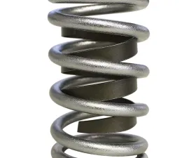 Howards Cams Electro Polished Performance Single with Damper Valve Springs; 1.550 98612-1