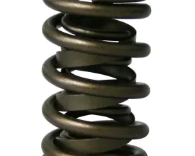 Howards Cams Max Effort Dual with Damper Valve Springs; 1.539 98630-1
