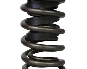 Howards Cams Stock Diameter Performance Dual with Damper Valve Springs; 1.514 98636-1