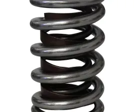 Howards Cams Electro Polished Pro - Alloy Dual with Damper Valve Springs; 1.540 98637-1