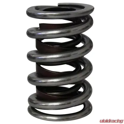 Howards Cams Electro Polished Pro - Alloy Dual with Damper Valve Springs; 1.540 98637-1 - 98637-1