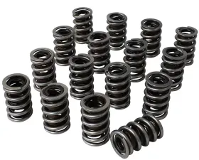 Howards Cams Electro Polished Pro - Alloy Dual with Damper Valve Springs; 1.540 98637