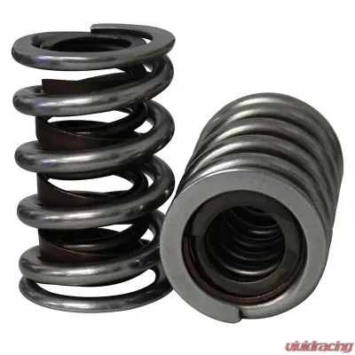 Howards Cams Electro Polished Pro - Alloy Dual with Damper Valve Springs; 1.540 98637 - 98637
