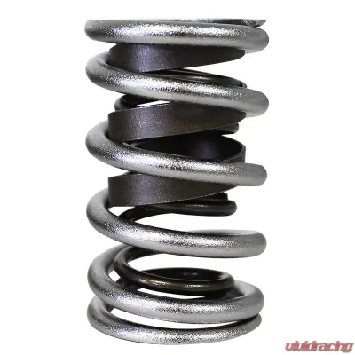 Howards Cams Electro Polished Max Effort Dual with Damper Valve Springs; 1.539 98650-1 - 98650-1