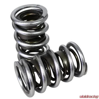 Howards Cams Electro Polished Max Effort Dual with Damper Valve Springs; 1.539 98650 - 98650