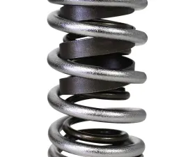 Howards Cams Electro Polished Performance Dual with Damper Valve Springs; 1.539 98652-1