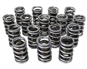 Howards Cams Electro Polished Performance Dual with Damper Valve Springs; 1.539 98652