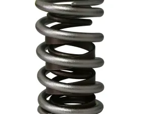Howards Cams Electro Polished Max Effort Dual with Damper Valve Springs; 1.557 98655-1