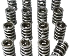 Howards Cams Electro Polished Max Effort Dual with Damper Valve Springs; 1.557 98655