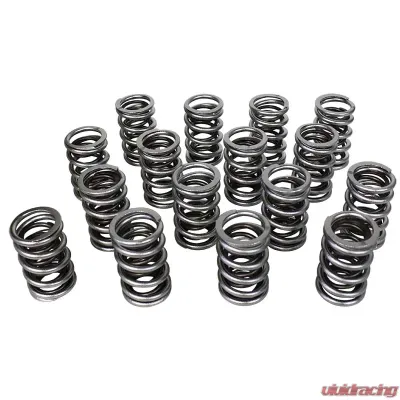 Howards Cams Electro Polished Pro - Alloy Dual Valve Springs; 1.640 98739 - 98739
