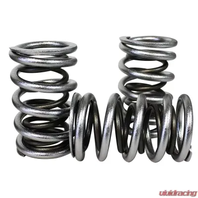 Howards Cams Electro Polished Pro - Alloy Dual Valve Springs; 1.640 98739 - 98739