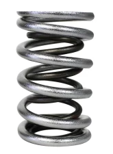 Howards Cams Electro Polished Pro - Alloy Dual Valve Springs; 1.640 98739                                     - 98739 - Image 3