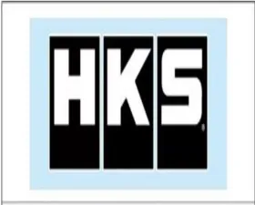 HKS Sticker HKS W200