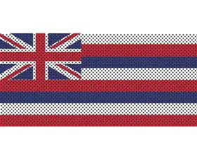 Jeep Gladiator Grill Inserts 2020-Present Gladiator Hawaii State Flag Under The Sun Inserts