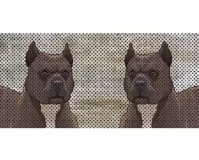 Jeep Wrangler Grill Inserts 2018-Present JL Pit Bull Under The Sun Inserts