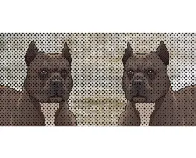 Jeep Gladiator Grill Inserts 2020-Present Gladiator Pit Bull Under The Sun Inserts