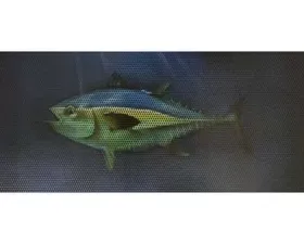 Jeep Wrangler Grill Inserts 07-18 JK Tuna Under The Sun Inserts