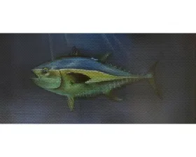 Jeep Gladiator Grill Inserts 2020-Present Gladiator Tuna Under The Sun Inserts