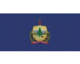 Jeep Gladiator Grill Inserts 2020-Present Gladiator Vermont State Flag Under The Sun Inserts