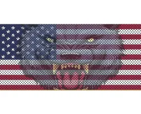 Jeep Gladiator Grill Inserts 2020-Present Gladiator Wolf Flag Under The Sun Inserts