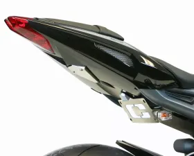 Competition Werkes Fender Eliminator Kit w/ Signals Limited Edition Triumph Daytona 675 13-18