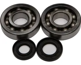 All Balls Crank Shaft Bearing Kit Kawasaki Kx250 2002-2007