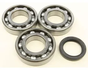 All Balls Crank Shaft Bearing Kit Polaris ATV 500 Pro 2002