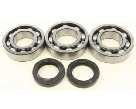 All Balls Crank Shaft Bearing Kit Polaris 300 2X4 1994-1995