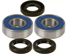 All Balls Wheel Bearing & Seal Kit Bmw F650 Gs/Gs Dakar 2000-2007